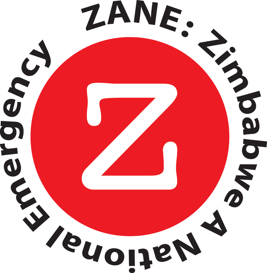 Member of the ZANE team in Zimbabwe